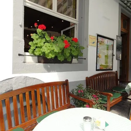 Hotel Gute Quelle 3*