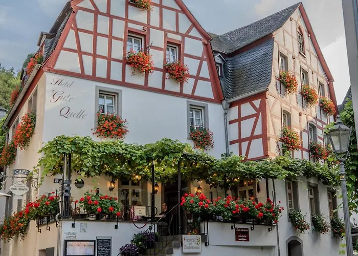 Gute Quelle Hotell 3*