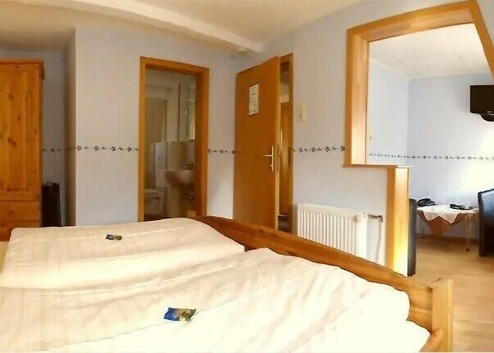 Hotel Gute Quelle 3*